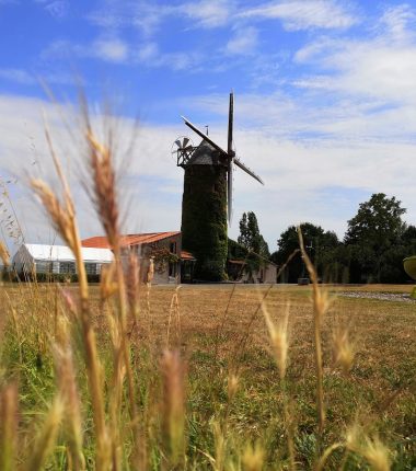 Atelier culinaire et visite authentique au Moulin de l’Épinay