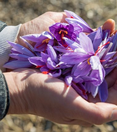 Ateliers cuisine et savonnerie dans votre entreprise