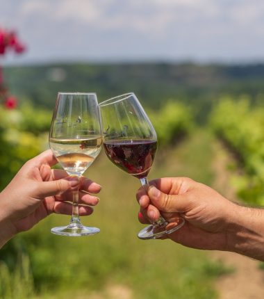 Team building originaux dans le vignoble, entre Angers, Nantes et Cholet