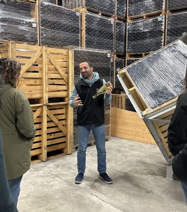 Visite des chais et dégustation de vin au Domaine des Galloires