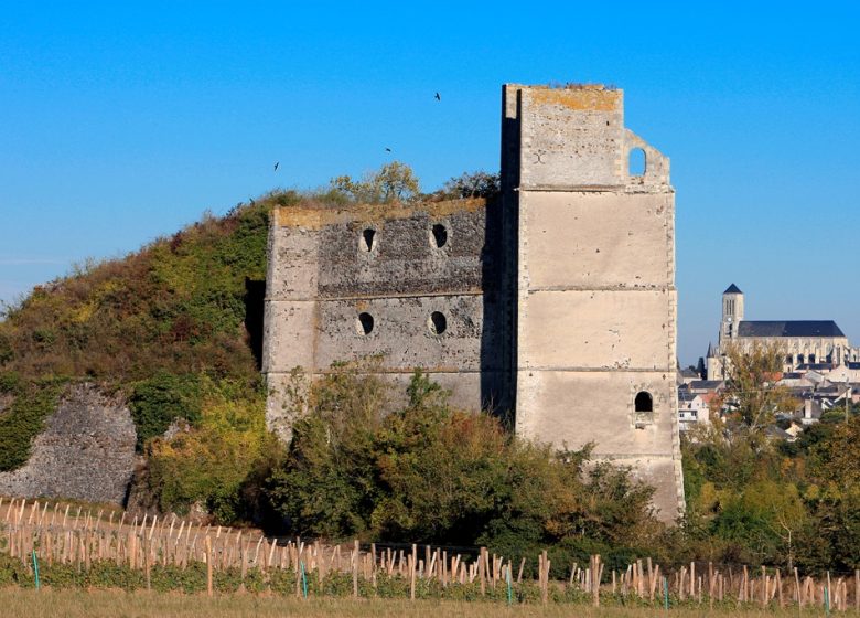 CARRIÈRE ET FOUR À CHAUX DE PINCOURT