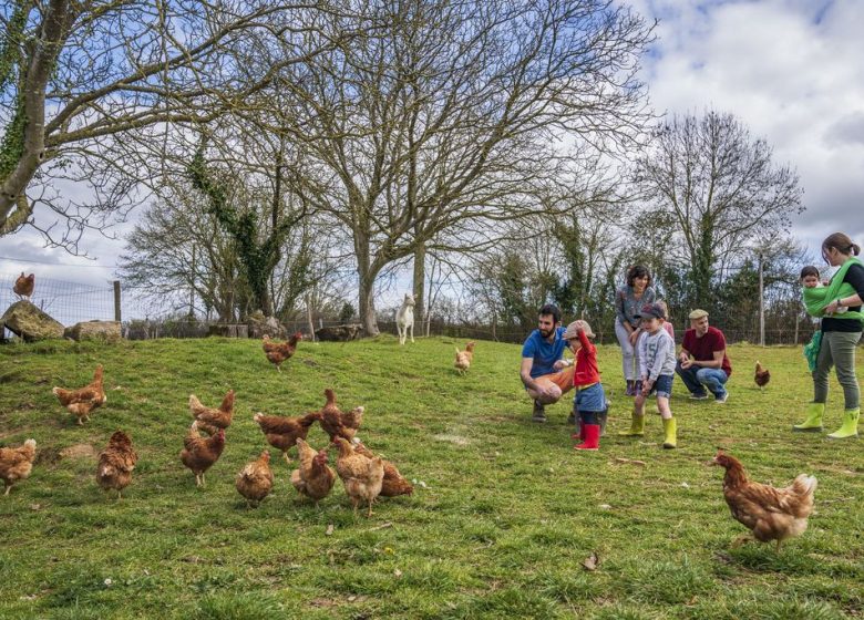 HÉBERGEMENT À LA FERME L’ÉTABLE DES MAUGES