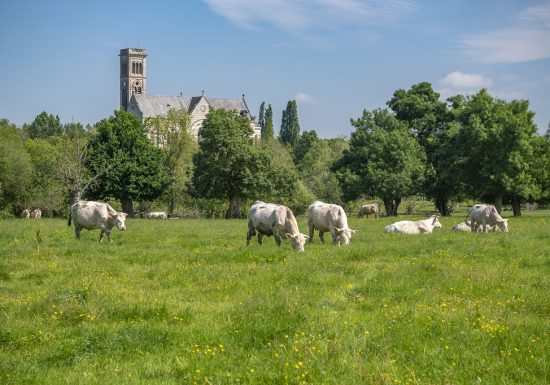 Sanctuaire Notre-Dame-du-Marillais