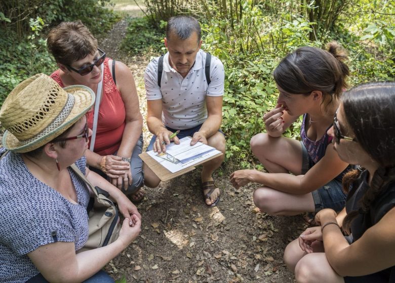 Salles de réception au château de la Turmelière