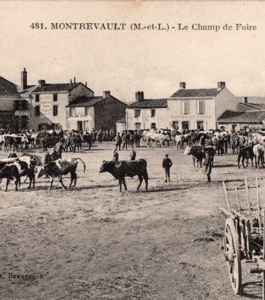 72 “cafés” à Montrevault, les jours de foires !