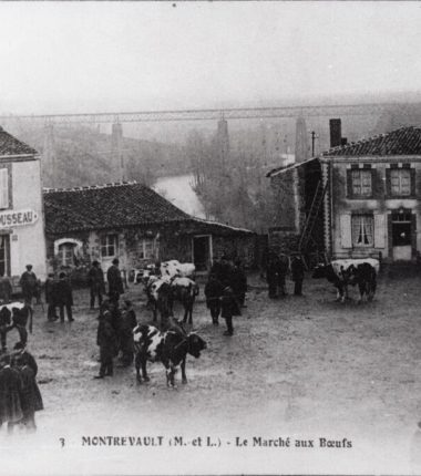 Carriole ou petit train ?