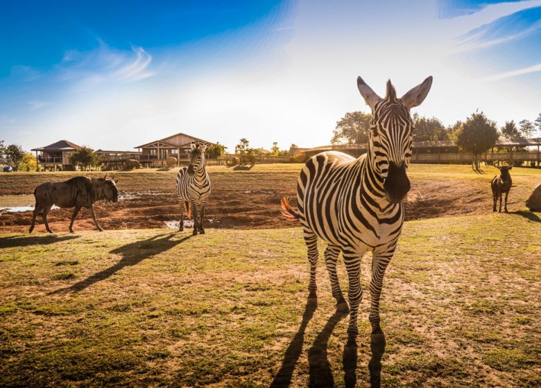 ZOO DE LA BOISSIERE DU DORE