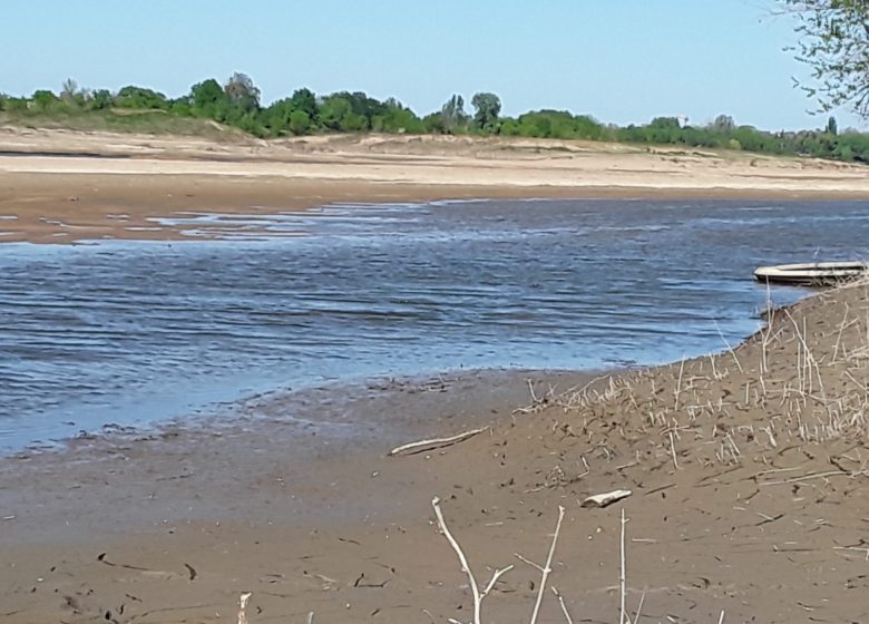 Chambre d&rsquo;hôte Bed Loire