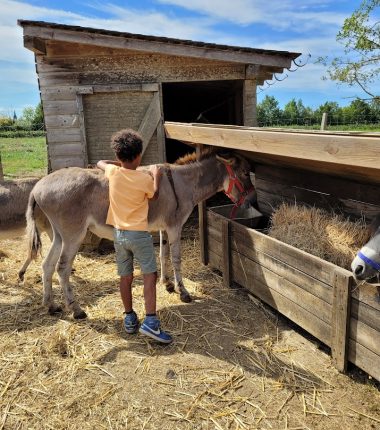 Visite à la ferme au Camping La Guyonnière