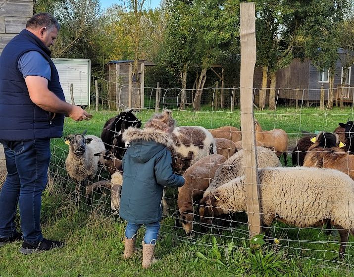 Visite à la ferme au Camping La Guyonnière