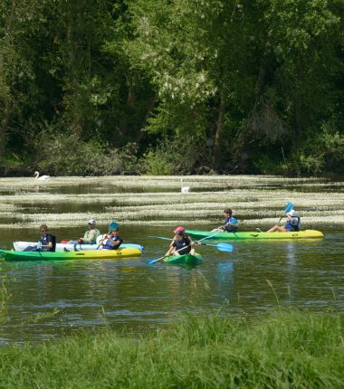 Canoë-kayak à Montjean-sur-Loire avec Pagaies de Loire