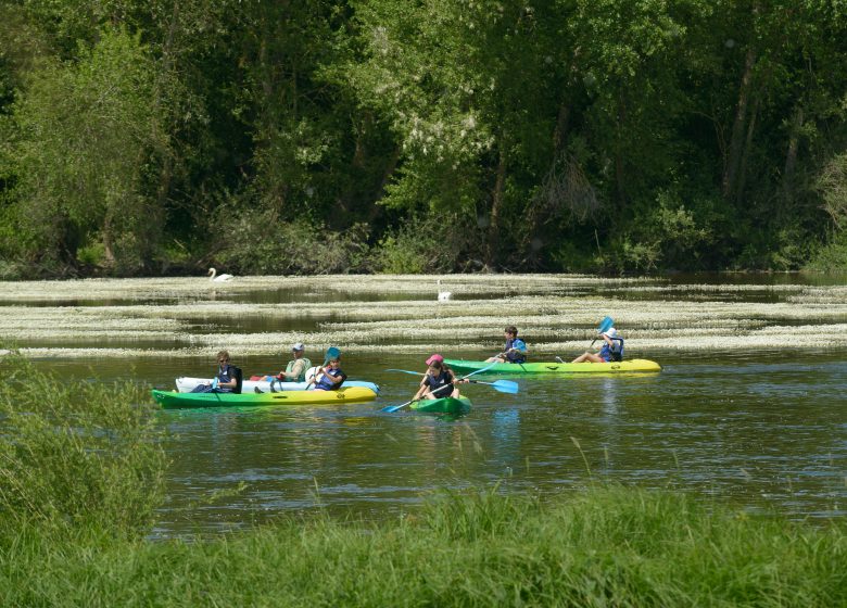 Canoë-kayak à Montjean-sur-Loire avec Pagaies de Loire