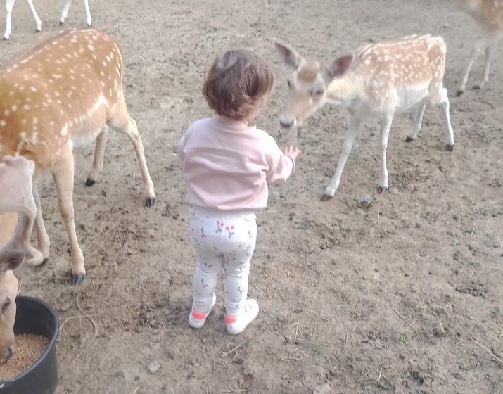 Visite à la ferme au Camping La Guyonnière