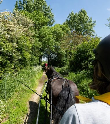Centre Équestre De La Pommeraye