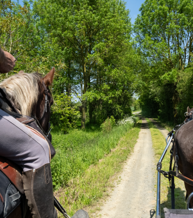 Centre équestre de Melay