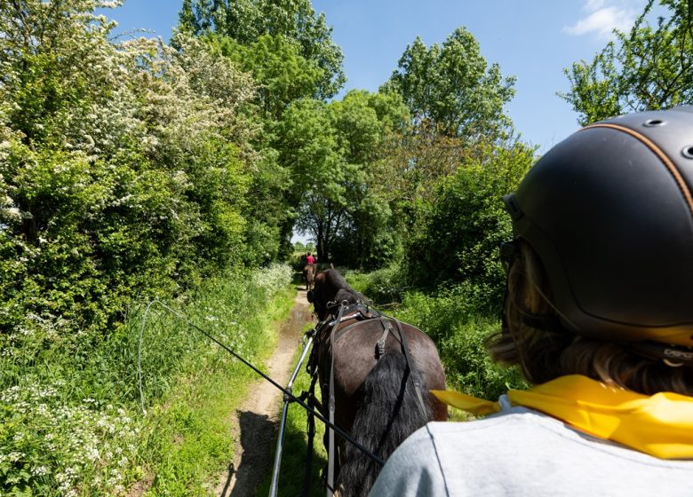 Écurie de l’Arche d’Avalon