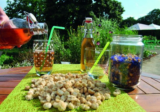 Immersion végétale au fil des saisons