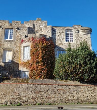 Château et ville fortifiée de Foulques Nerra
