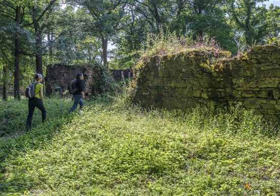Vestiges de la Citadelle de Champtoceaux