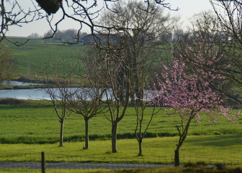 GÎTE LE MOTTAY