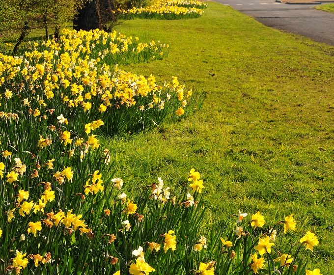 Saint-Macaire-en-Mauges