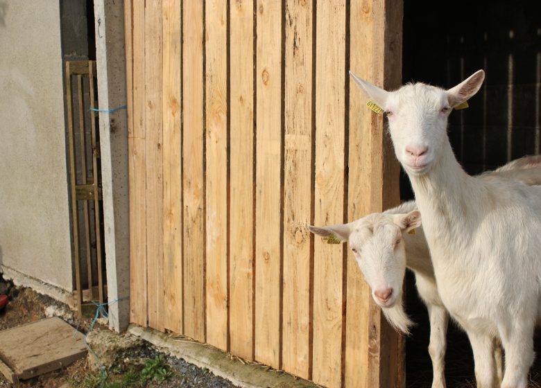 HÉBERGEMENT À LA FERME L’ÉTABLE DES MAUGES