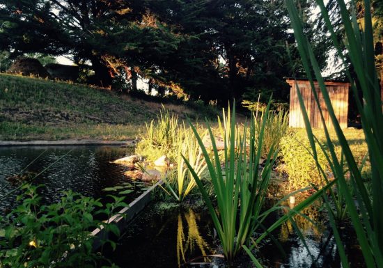 Aire d’accueil de campeurs des Hautes Herbes