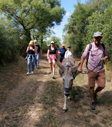 Marche afghane avec des ânes en bords de Loire
