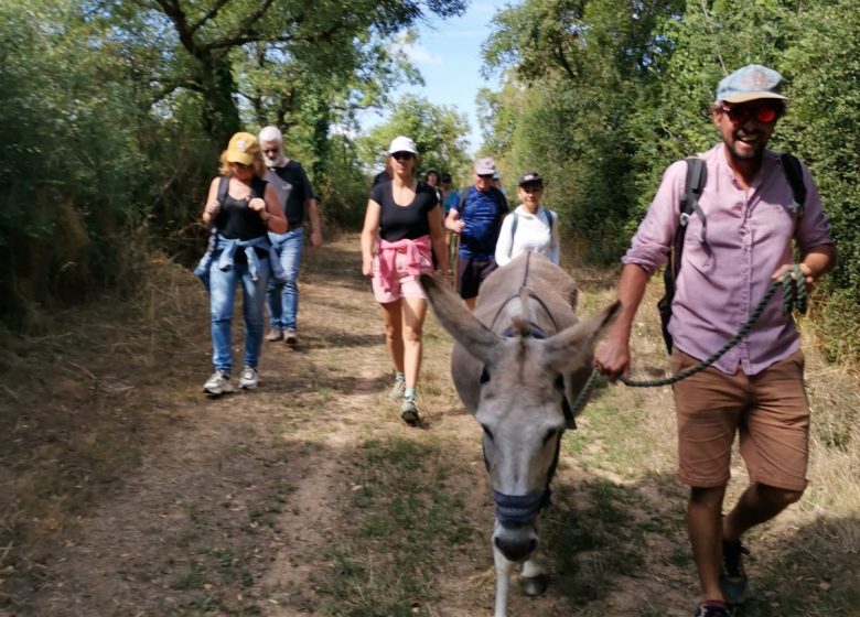 Marche afghane avec des ânes en bords de Loire