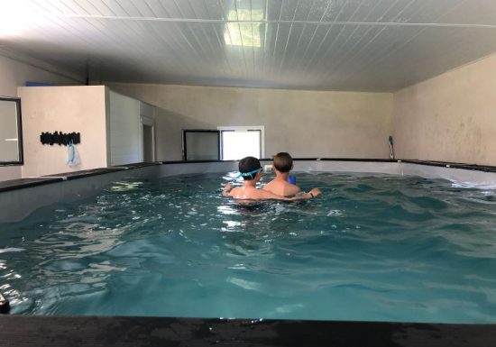 Gîte la Petite Forêt