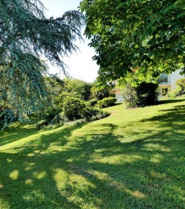 Gîte de la Roullière – Hortensia