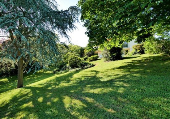 Gîte de la Roullière – Hortensia