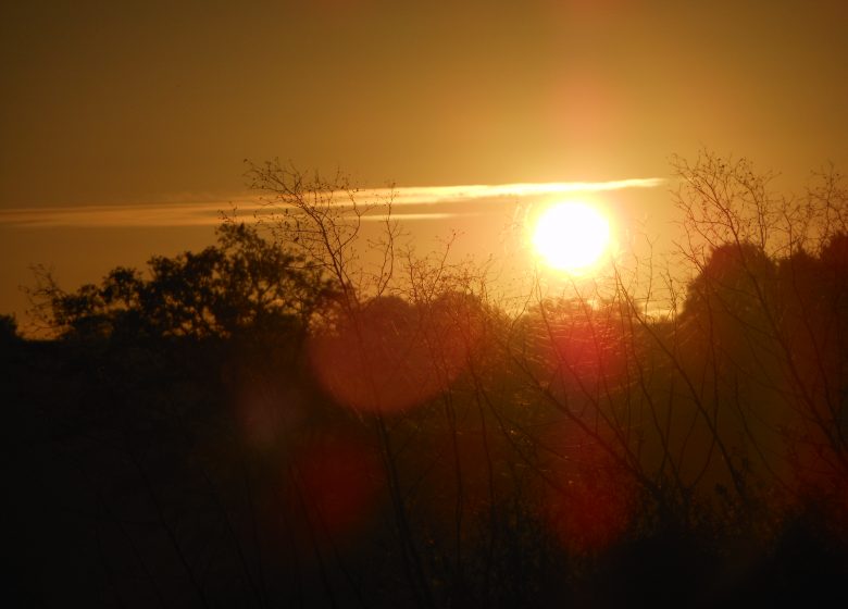 Chambres d&rsquo;hôtes La Basse Gougeonnière