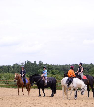 LE PÔLE EQUESTRE MORTAGNAIS