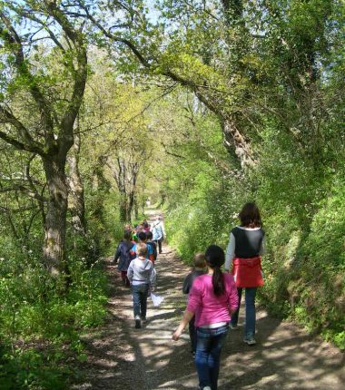Balade à la rencontre de la biodiversité