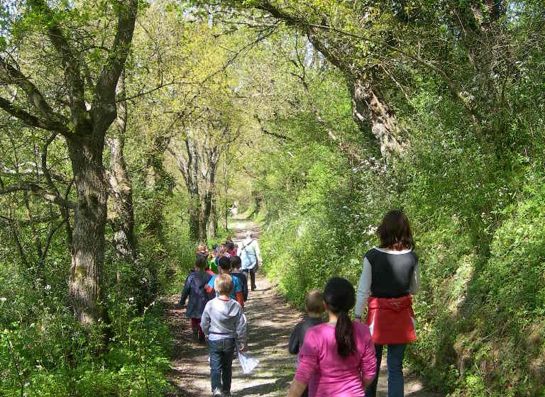 Balade à la rencontre de la biodiversité