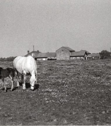 La campagne de St Laurent