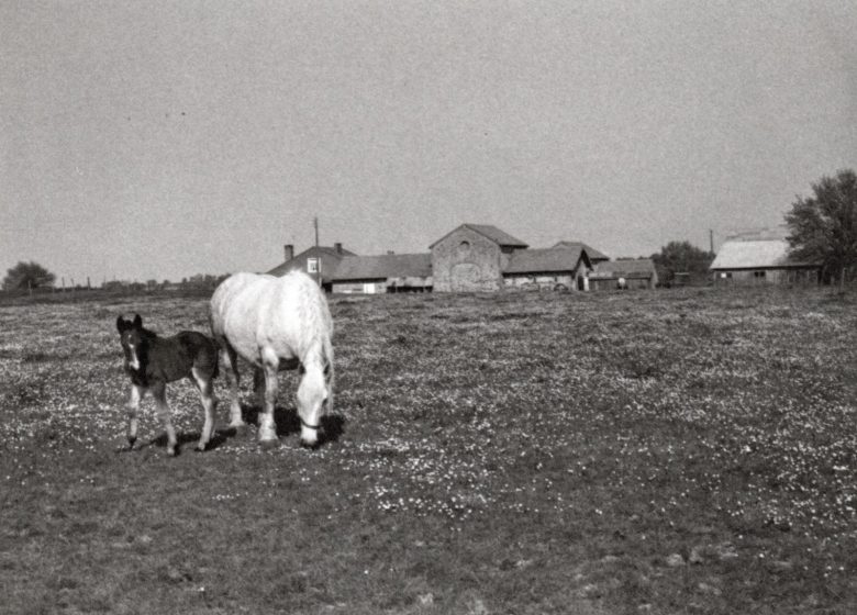 La campagne de St Laurent