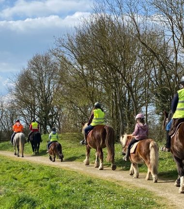Balade à cheval et à poney avec l&rsquo;association « À quatre temps »