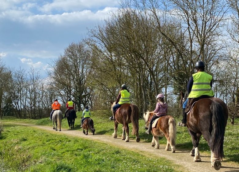 Balade à cheval et à poney avec l&rsquo;association « À quatre temps »