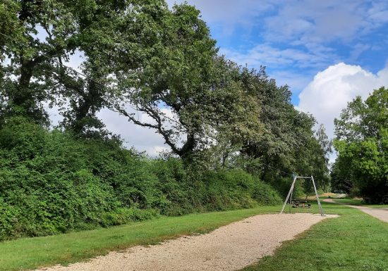 Pêche à l’étang de la Croix Verte