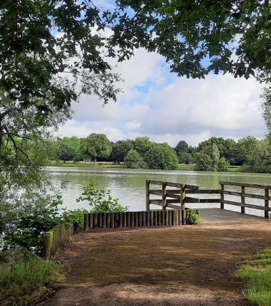 Pêche à l’étang de la Croix Verte
