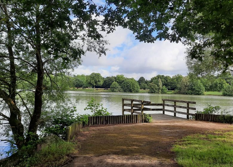 Pêche à l’étang de la Croix Verte