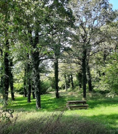 Aire de pique-nique de l’Etang du Pavillon