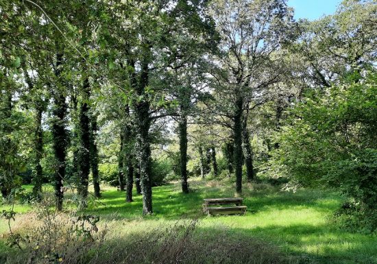 Aire de pique-nique de l’Etang du Pavillon