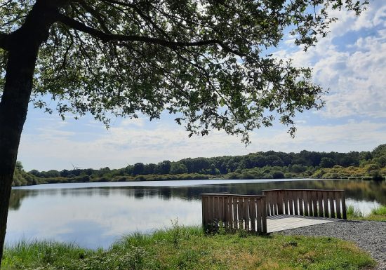 Pêche à l’étang du Pavillon