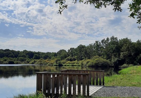 Aire de pique-nique de l’Etang du Pavillon