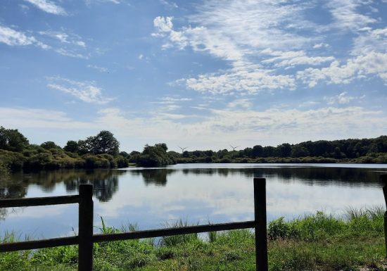 Aire de pique-nique de l’Etang du Pavillon
