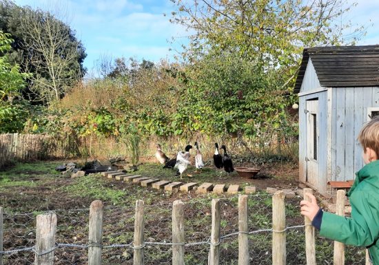 Ferme pédagogique de la Turmelière