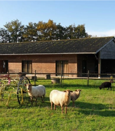 Centre de médiation animale Ter’Anima